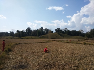 gallery Myanmar 2025